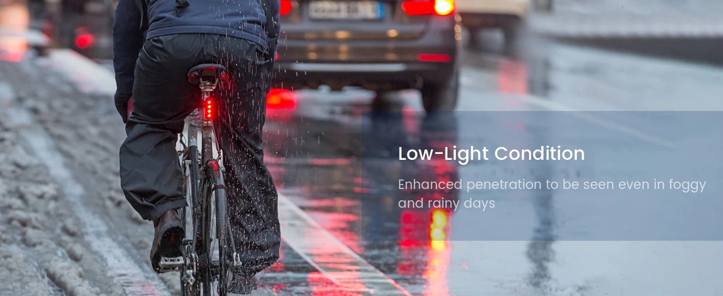 RAVEMEN TR250 Smart Radar Tail Light - CougarBikes