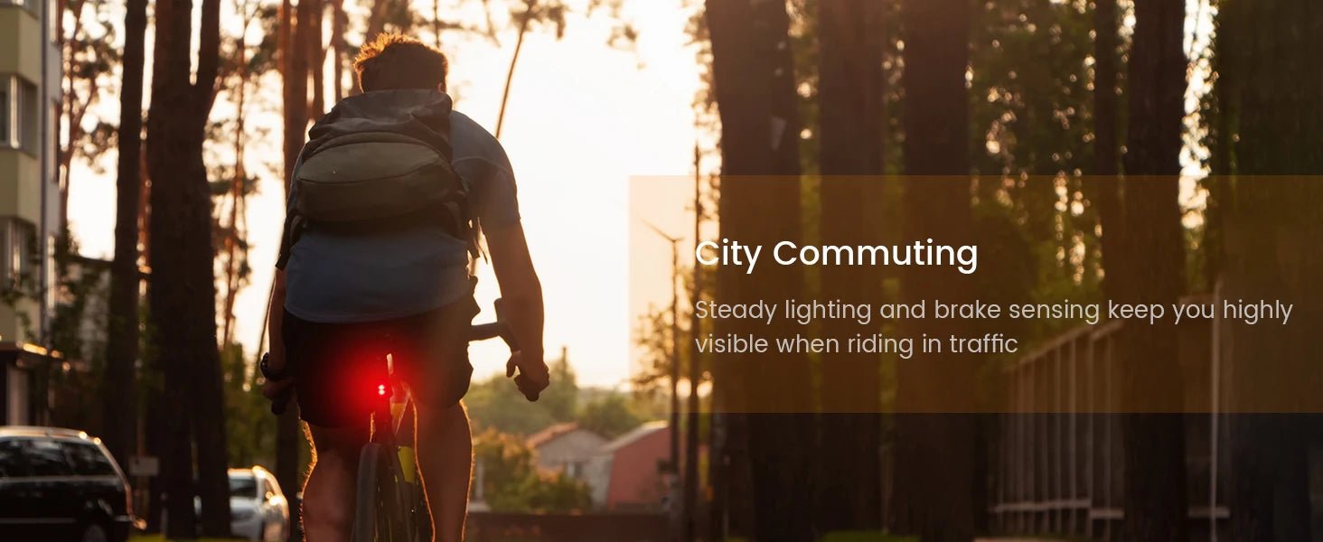 RAVEMEN TR250 Smart Radar Tail Light - CougarBikes